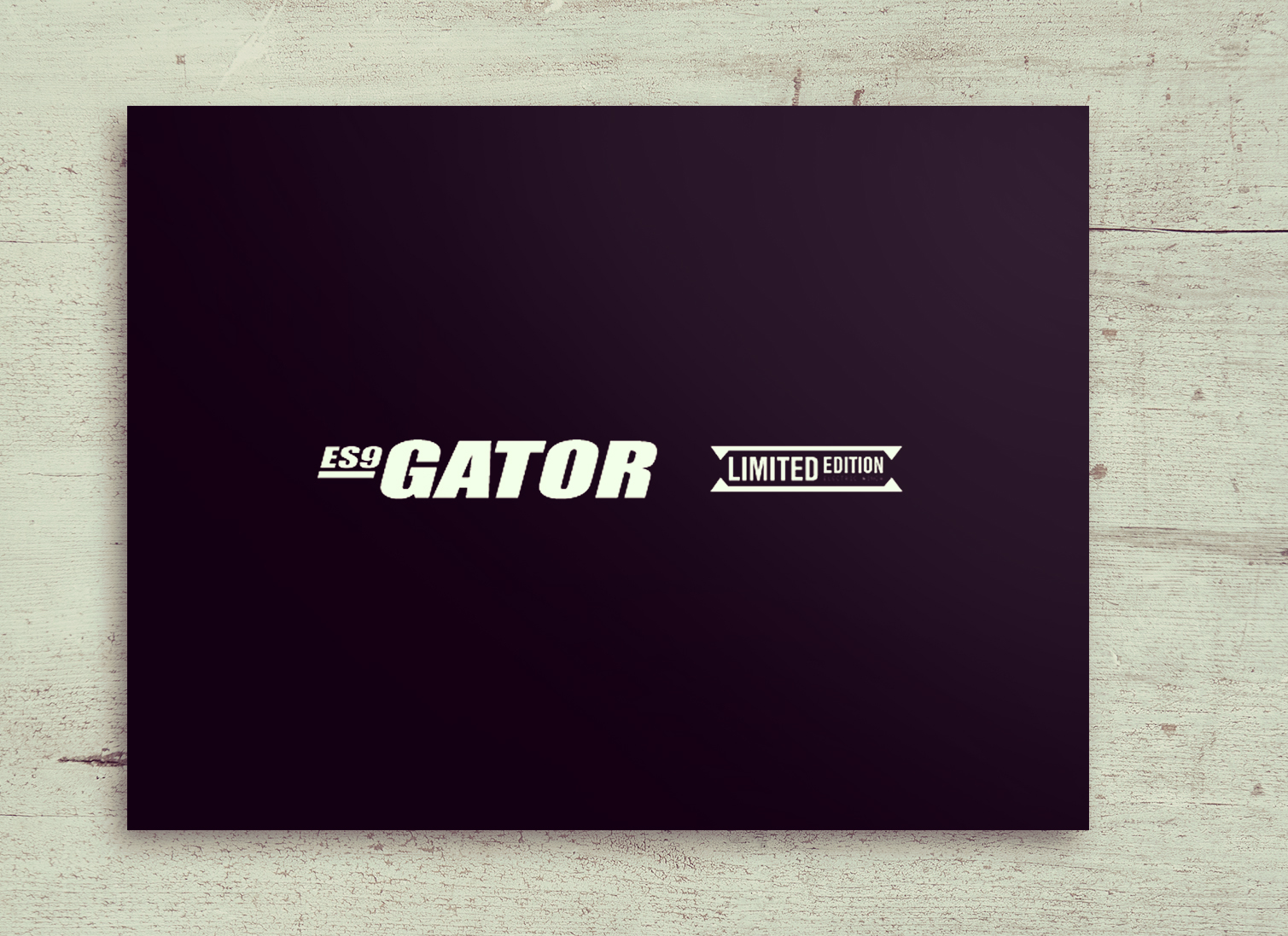 gatorflyer.jpg